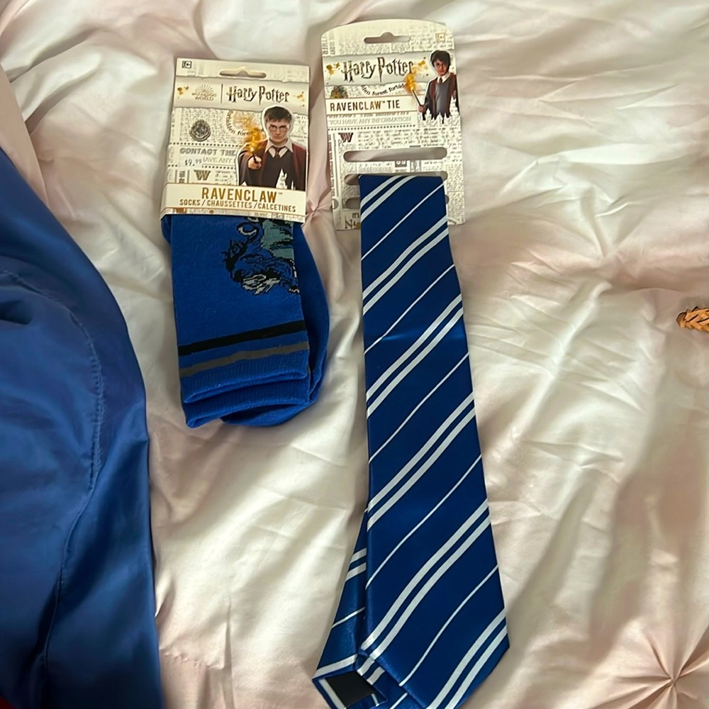 Party City Ravenclaw socks and tie